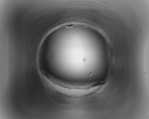 X0000089891530200707192005