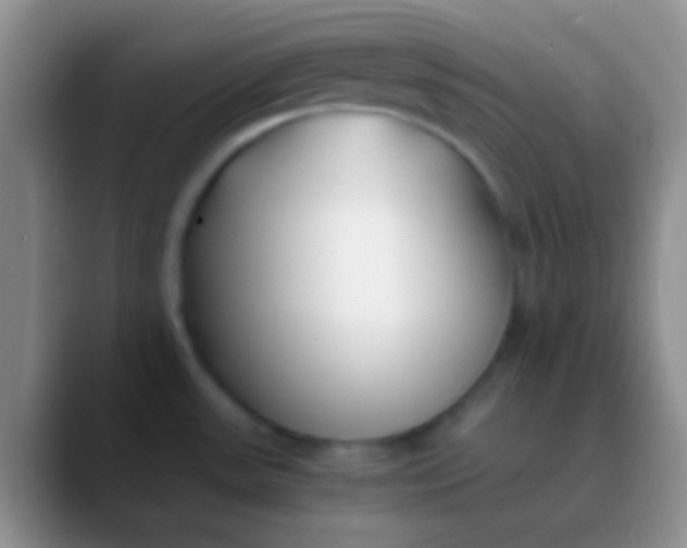 X0000089891531200707192005