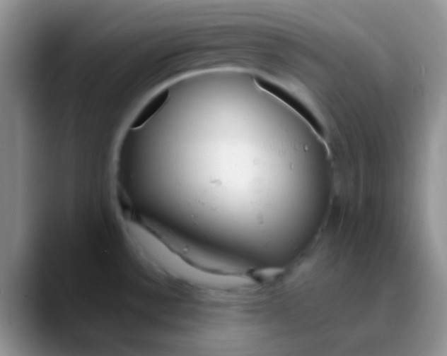 X0000089891532200707192005