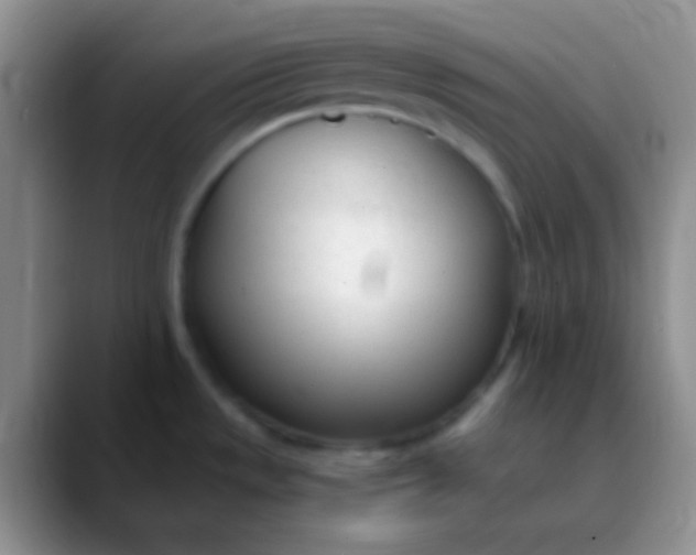 X0000089891533200707192005