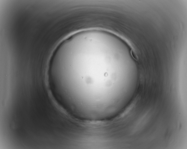 X0000089891534200707192005