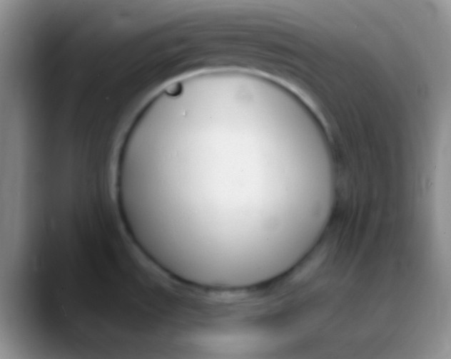 X0000089891535200707192005