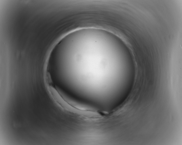 X0000089891536200707192005