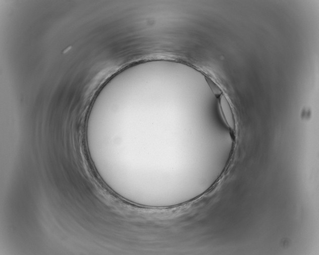 X0000089890001200707262240
