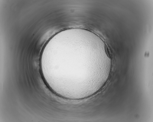 X0000089890002200707262239