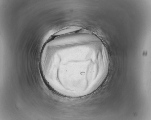 X0000089890003200707262239