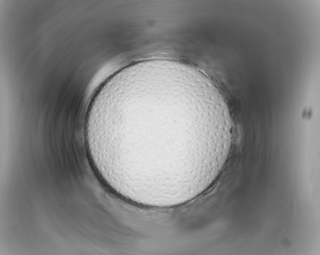X0000089890004200707262239