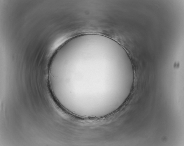 X0000089890005200707262239