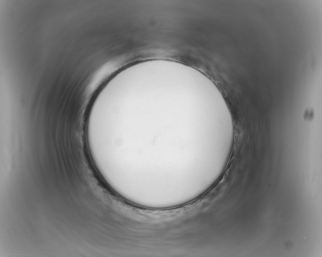 X0000089890006200707262239