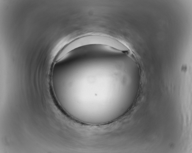 X0000089890007200707262239