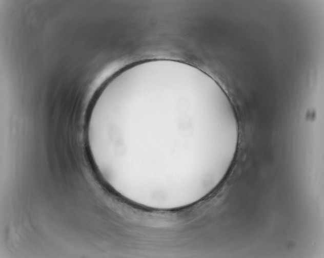 X0000089890008200707262239