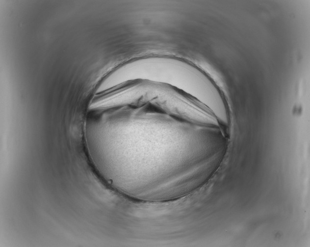 X0000089890009200707262239