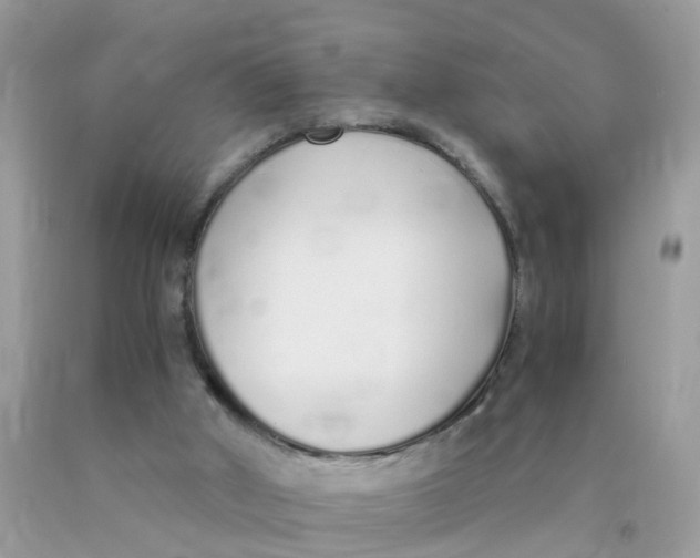 X0000089890010200707262239