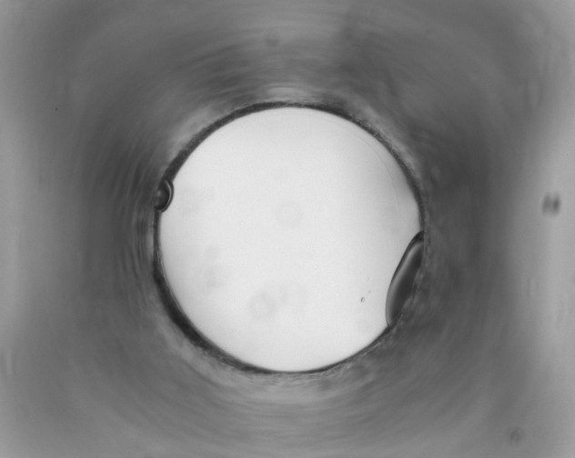 X0000089890011200707262239