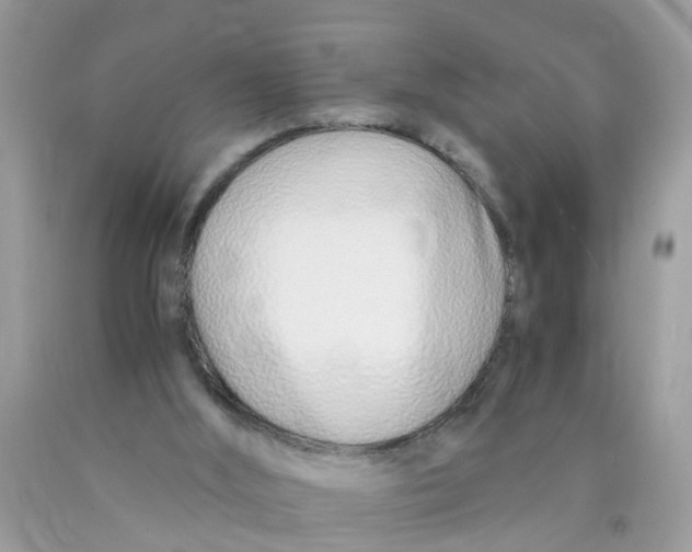 X0000089890012200707262239
