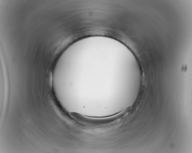 X0000089890013200707262239
