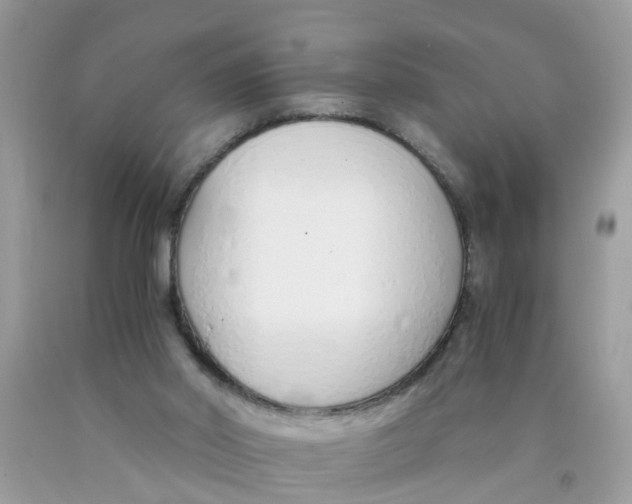 X0000089890014200707262239