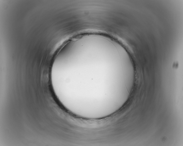 X0000089890015200707262239