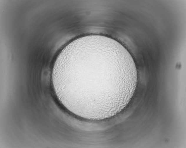 X0000089890016200707262239