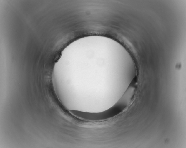 X0000089890017200707262239