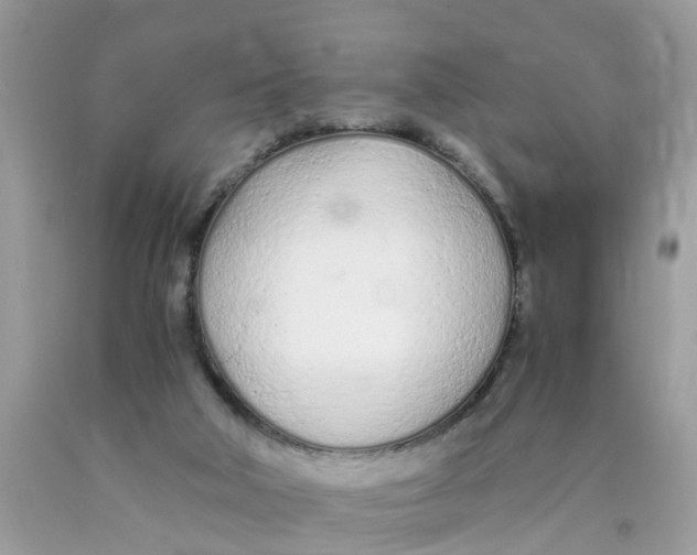 X0000089890018200707262239