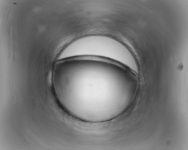 X0000089890019200707262239