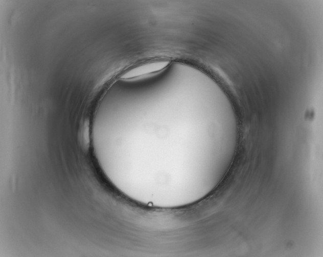 X0000089890020200707262239