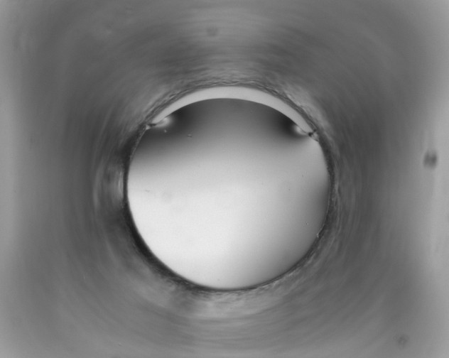X0000089890021200707262239