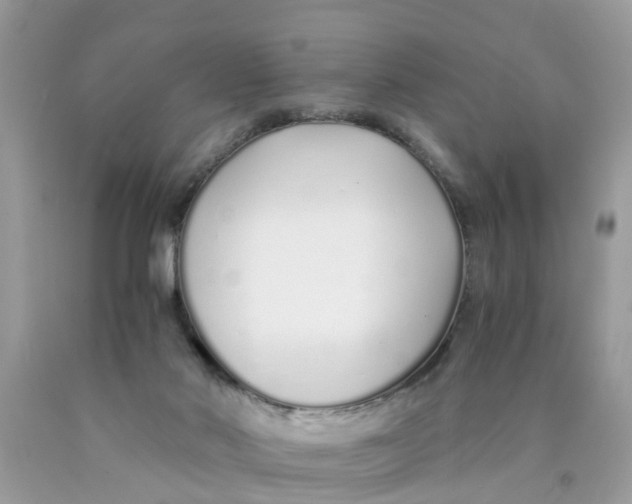X0000089890022200707262239