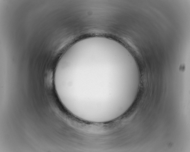 X0000089890024200707262239