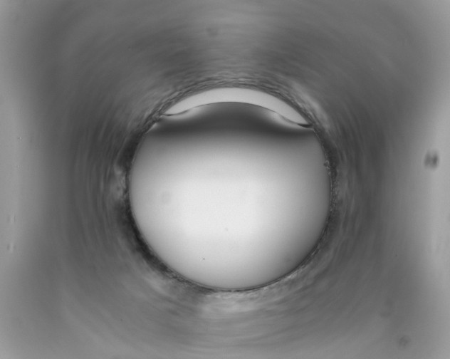 X0000089890025200707262239