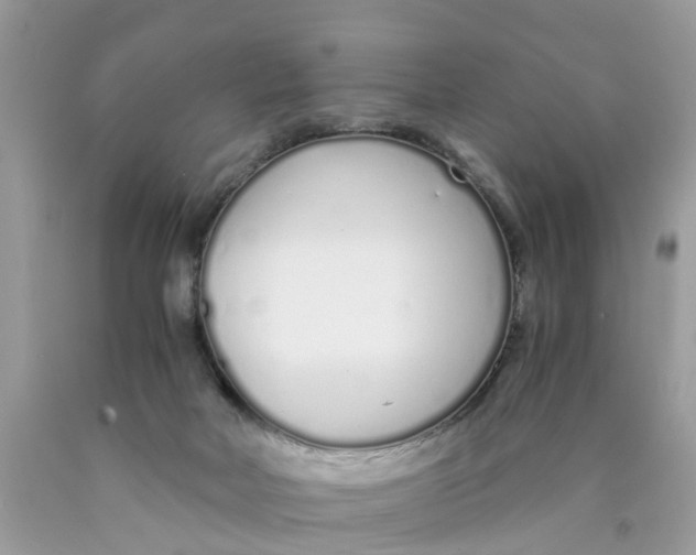X0000089890026200707262239