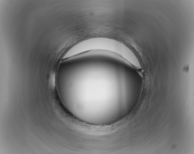 X0000089890027200707262239