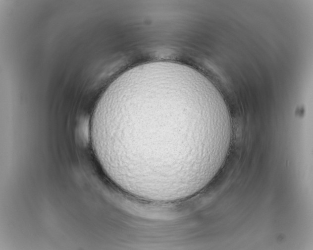 X0000089890028200707262239