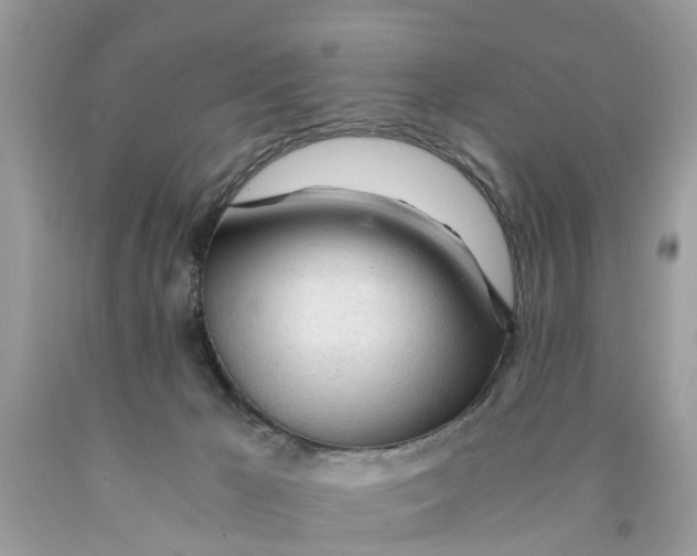 X0000089890029200707262239