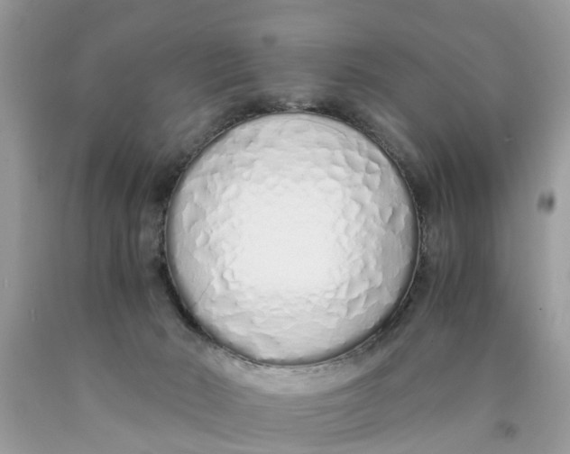 X0000089890030200707262239