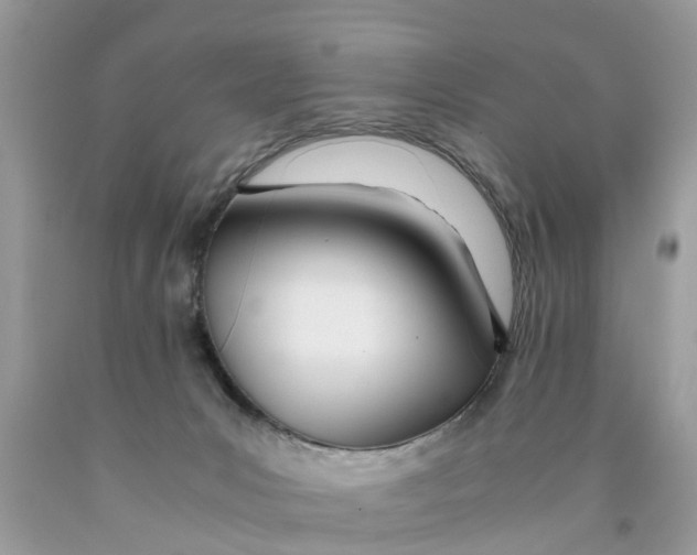 X0000089890031200707262239