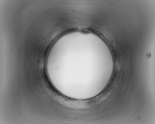 X0000089890032200707262239