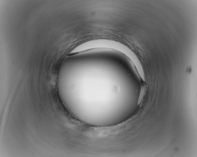 X0000089890033200707262239