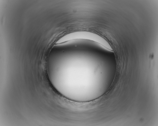 X0000089890035200707262239