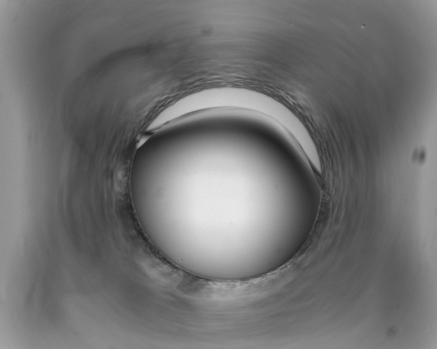 X0000089890037200707262239