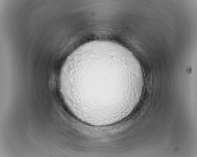 X0000089890038200707262239