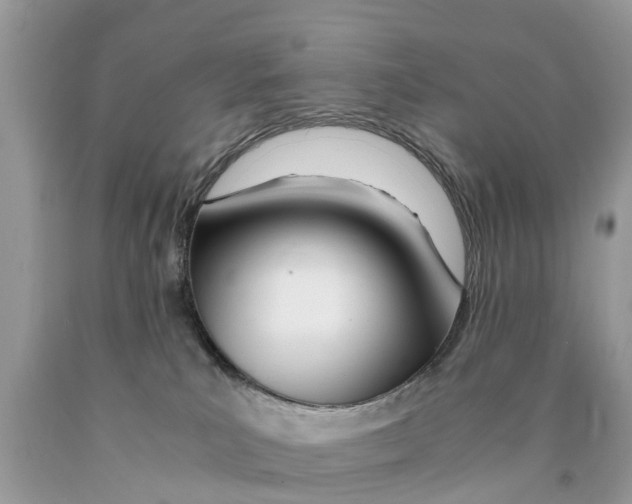 X0000089890039200707262239