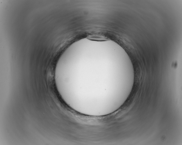 X0000089890040200707262239