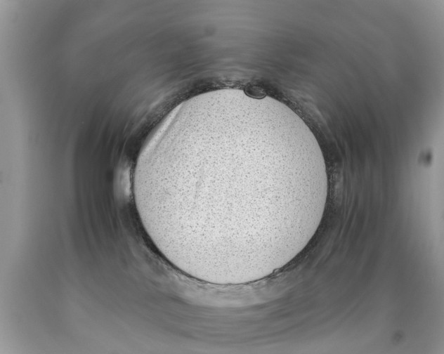X0000089890042200707262239
