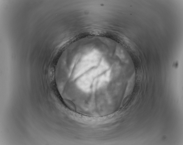 X0000089890043200707262239