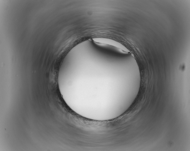X0000089890044200707262239