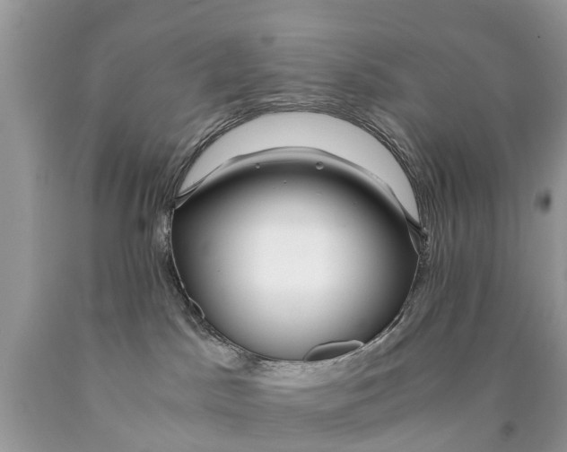 X0000089890045200707262239