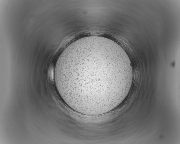 X0000089890046200707262239