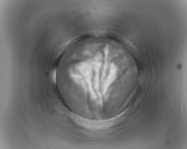 X0000089890047200707262239
